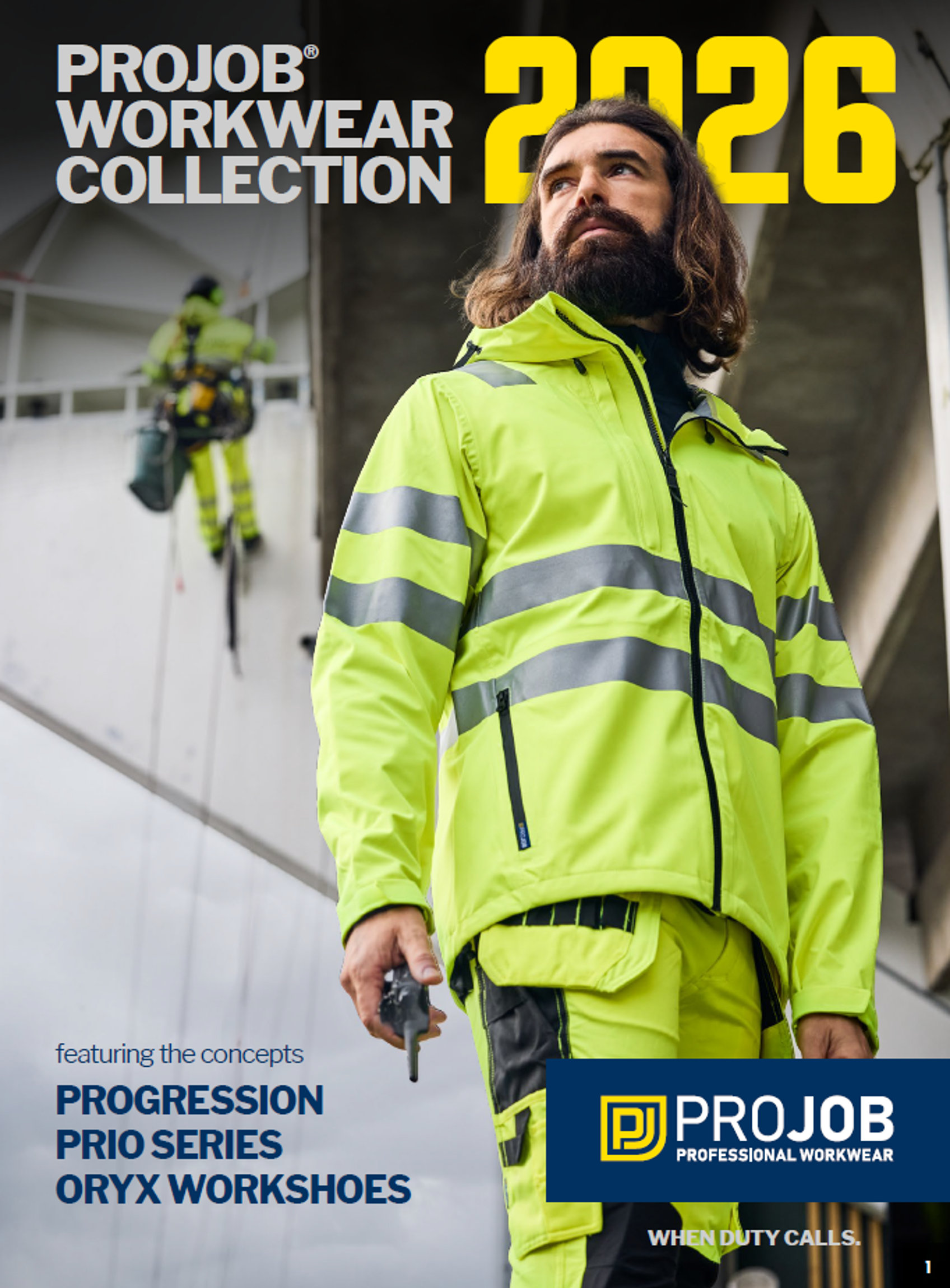 projob – Swisslogofactory AG – kataloge